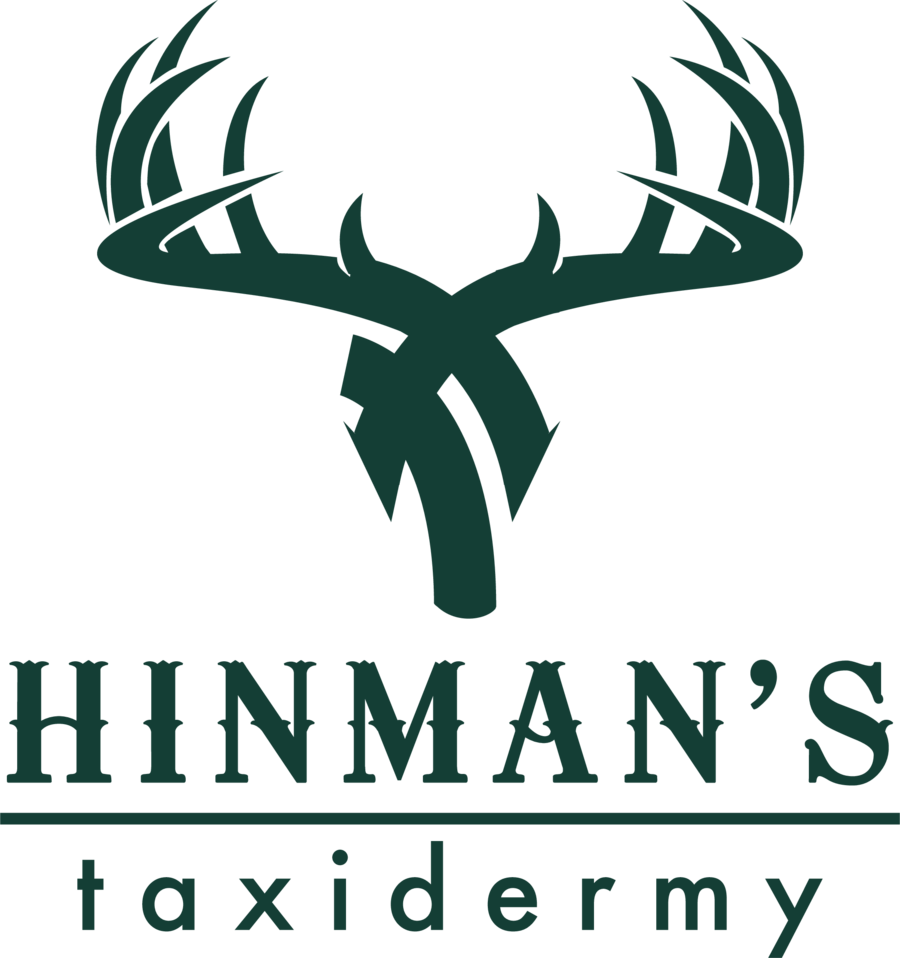 Hinman's Taxidermy